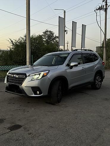 низкий кабина: Subaru Forester: 2022 г., 2.5 л, Вариатор, Бензин, Кроссовер — 6