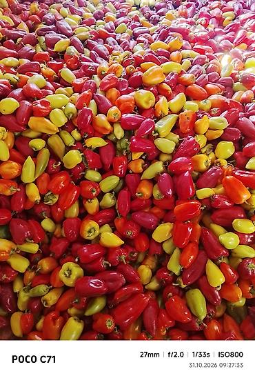 1 кг мяса цена бишкек: Калемпир Таттуу, Чекене — 2