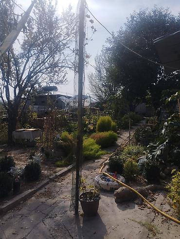 Продажа коттеджей и домов: Продается дом жилой с отоплением умная печка сарай Баня в принципе со — 9