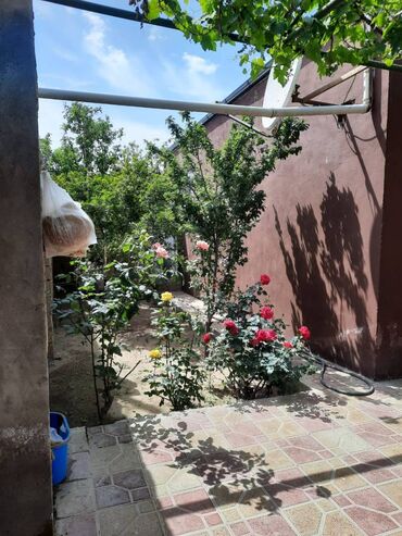 Uzunmüddətli kirayə evlər: 100 kv. m, 3 otaqlı -da lalafo.az — 8 Uzunmüddətli kirayə evlər: 100 kv. m, 3 otaqlı — 8