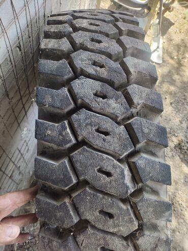 балон машина: Шины R 22,5, 1 шт, Грузовики/Автобусы, Япония, Bridgestone