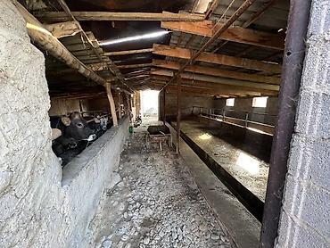 Продажа полдома: Продаю Дом Адрес: Сокулуксий район село Чат-Кель В общим иметься 16 — 10