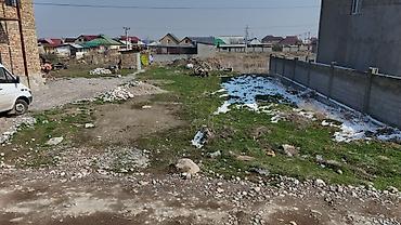 туп: 5 соток, Курулуш, Кызыл китеп — 4