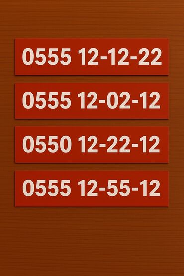 ручка диктофон: 0555121222 - 3тыс 0550122212 - 3тыс 0555120212 - 3тыс 0555125512 -