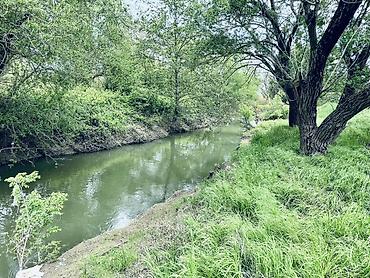 Torpaq sahələrinin satışı: Kənd təsərrüfatı, Kupça (Çıxarış) — 11