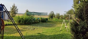 Сельхоз предприятия: Продается Кашара Фермерское- хозяйство с действующим бизнесом и с — 5