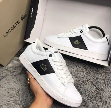 lacoste очки: Lacoste 🔥🔥🔥