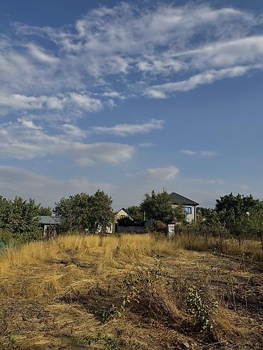 5 соток, Курулуш, Кызыл китеп — 3