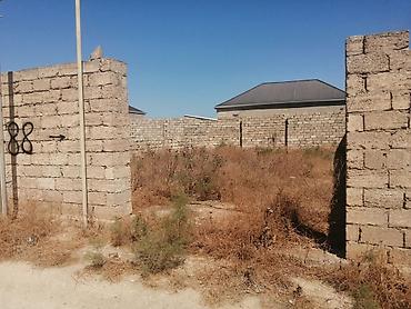 Torpaq: Kənd təsərrüfatı, Kupça (Çıxarış) — 1