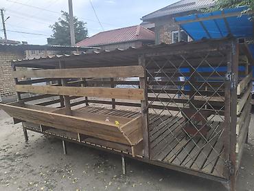 гисар кой: Продаю | Овца (самка), Ягненок, Баран (самец) | Гиссарская, Полукровка, Эдильбаевская | На забой, Для разведения, Для шерсти | Ярка, Ягнившаяся, Племенные — 4
