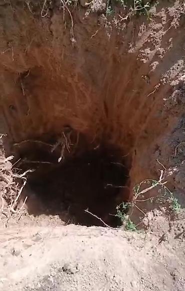 Услуги экскаватора: Экскаватор | Выкорчевывание пней — 4