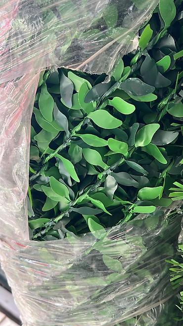 Bağ və bostan üçün digər məhsullar: Yaşıl arakəsmə. Türkiyə istehsalı paslanmayan ikiqat məftil və dörd — 8