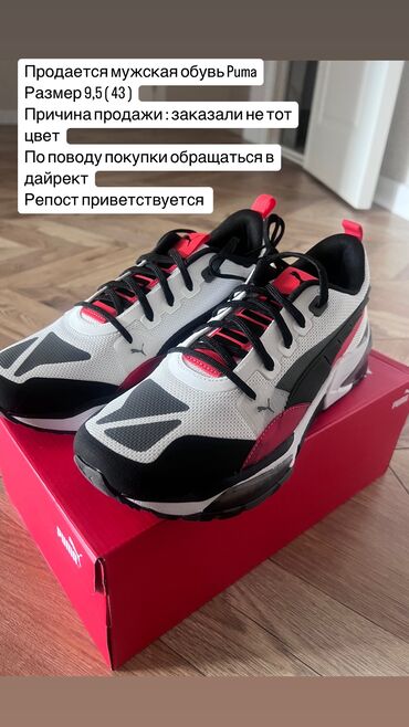 Кроссовки и спортивная обувь: Мужские кроссовки, 43, Puma, Новый, Самовывоз