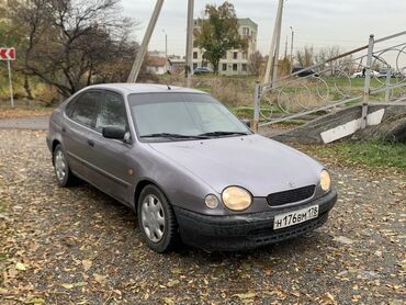 Toyota: Toyota Corolla: 1999 г., 1.6 л, Механика, Бензин, Хэтчбэк