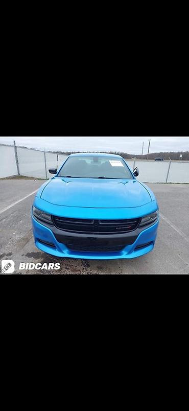 dodge challanger: Dodge Challenger: 2019 г., 3.6 л, Автомат, Бензин, Седан — 7