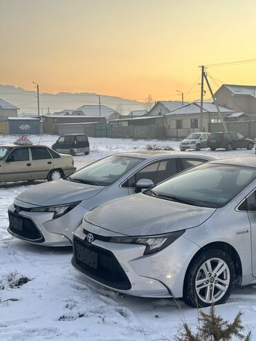 Toyota: Toyota Corolla: 2019 г., 1.8 л, Вариатор, Гибрид, Седан