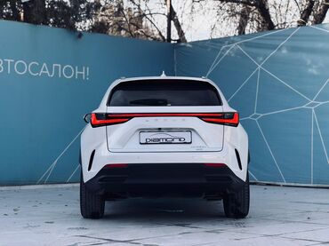 Lexus: Lexus NX: 2024 г., 2.5 л, Автомат, Бензин, Кроссовер — 4