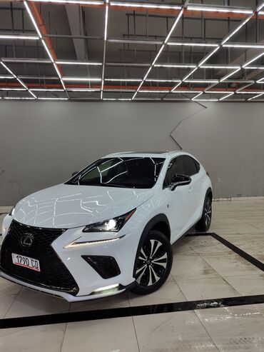 Lexus: Lexus NX: 2020 г., 2 л, Автомат, Бензин, Внедорожник