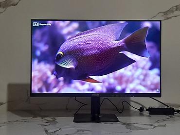 Мониторы: Монитор, Philips, Новый, LCD, 23" - 24" — 1