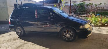 вит хонда: Honda Odyssey: 2003 г., 2.3 л, Автомат, Бензин, Минивэн
