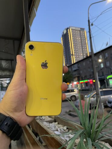 Apple iPhone: IPhone Xr, Б/у, 64 ГБ, Чехол, 76 %