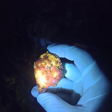 Digər kolleksiyalar: UV Parlayan Təbii Daş Satılır – Kolleksiya üçün Nadir Kristal 💎 — 3