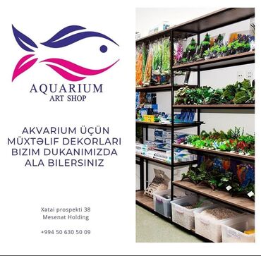 Akvariumlar: Hər zövqə uyğun akvariumlar İstehsal və təmir Dekorasiya(dizayn)