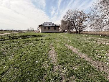 зеленный городок: 5 соток, Для строительства, Красная книга — 8