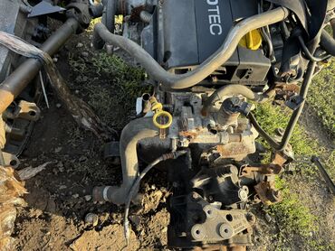 Двигатели, моторы и ГБЦ: Бензиновый мотор Opel 2004 г., 1.6 л, Б/у, Оригинал, Германия at lalafo.kg — 8 Двигатели, моторы и ГБЦ: Бензиновый мотор Opel 2004 г., 1.6 л, Б/у, Оригинал, Германия — 8