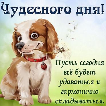 Мейманканалар, кафелер, ресторандар: Здравствуйте!!!Ищу работу,можно посудомойщицей.Можно на — 1