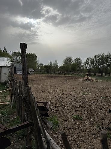 орошаемое земля: Продаётся участок с хоз двором в городе Каракол, улица Масанчы, свет — 9