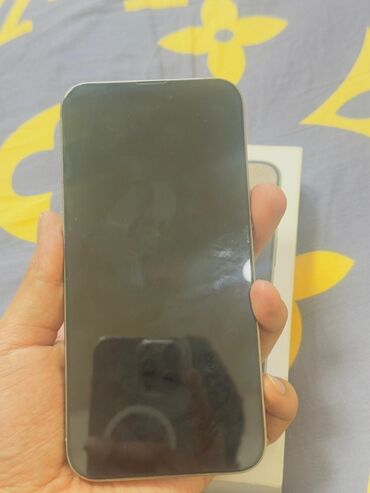xr корпус 13 про: IPhone 15 Pro, Natural Titanium, Коробка