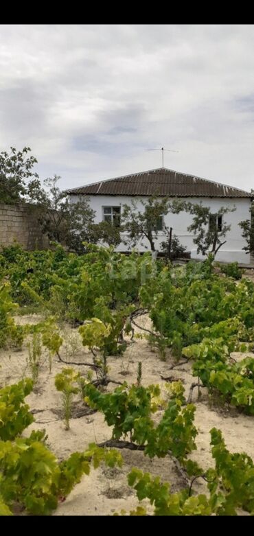 Həyət evləri və villaların satışı: 3 otaqlı, 90 kv. m, Kredit yoxdur, Təmirsiz -da lalafo.az — 3 Həyət evləri və villaların satışı: 3 otaqlı, 90 kv. m, Kredit yoxdur, Təmirsiz — 3