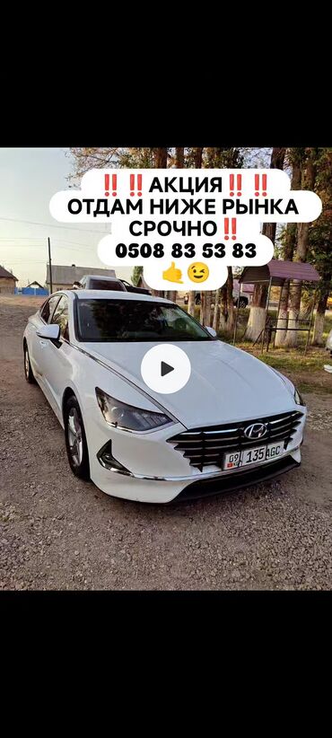 авто бафер: Hyundai Sonata: 2019 г., 2 л, Автомат, Газ, Седан