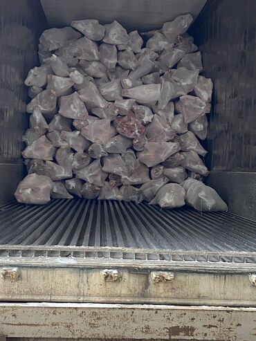 Мясо: Баранина : Лопатка, Более 10 кг — 7