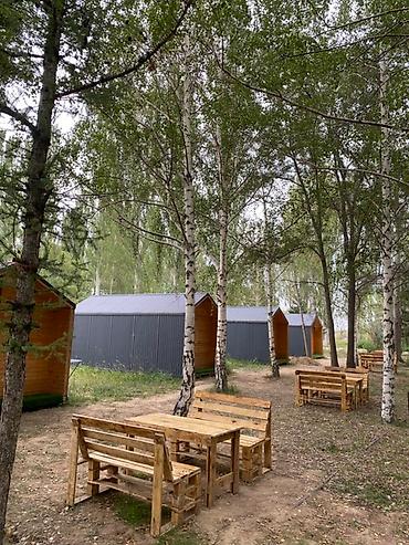 Палатки и домики: Эко-домики в лесу с удобствами - Компактные деревянные домики в — 1