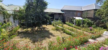 Torpaq sahələrinin satışı: 12 sot, Tikinti, Makler, Kupça (Çıxarış) — 14