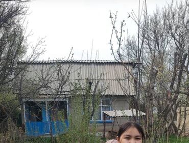 арча бешик дом: Дача, 35 кв. м, 2 бөлмө, Менчик ээси