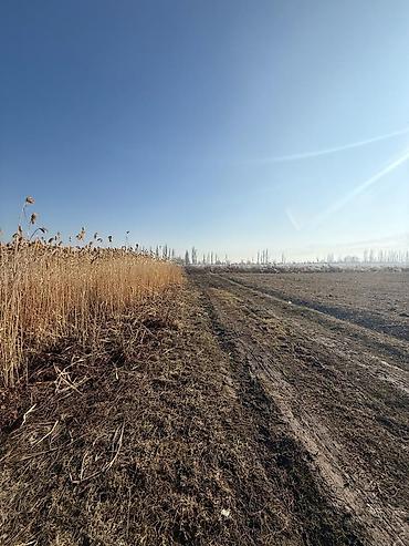 Продажа участков: 280 соток, Для сельского хозяйства — 1