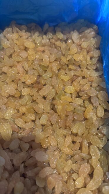 Дом и сад: Изюм малаяр крупный калибр один из самых полезных, вкусных и полезных
