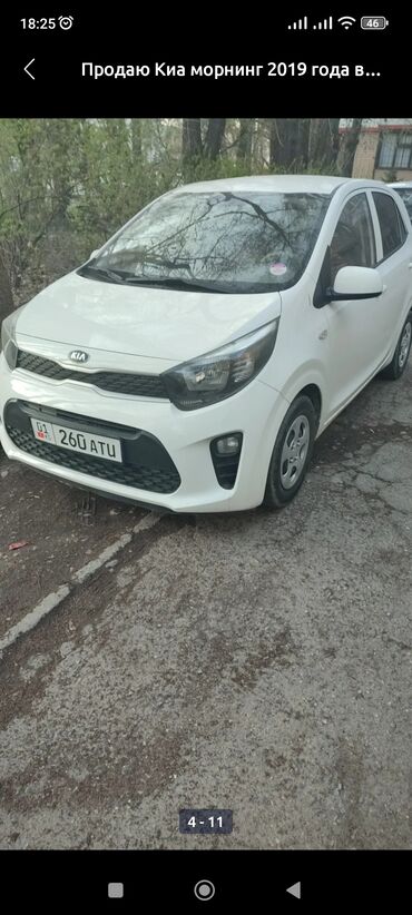 рассрочка авто без банка бишкек: Kia Morning: 2019 г., 1 л, Автомат, Бензин, Хэтчбэк