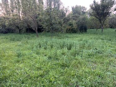 Həyət evləri və villaların satışı: 4 otaqlı, 63 kv. m, Təmirsiz — 10