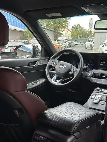 palisade: Hyundai Palisade: 2019 г., 2.4 л, Автомат, Дизель, Кроссовер — 6