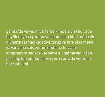 yani balali qoyunlar: Xaiş edrəm oxuyun elə yazın əlində yaxşıheyvan varsa daha məmə 5 6 — 1