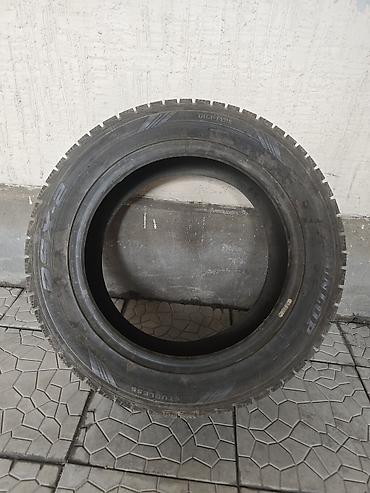 Шины 205 / 55 / R 16, Зима, Б/у, Легковые, DUNLOP at lalafo.kg Шины 205 / 55 / R 16, Зима, Б/у, Легковые, DUNLOP