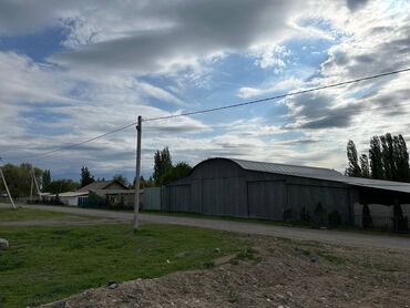 жер уй арендага берилет: Сатам Мүйүздүү бодо мал фермасы, 65 соток, Иштеп жаткан, Жабдуулары менен, Скважина, Муздак суу, Электр энергиясы
