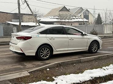 Hyundai: Hyundai Sonata: 2020 г., 2 л, Автомат, Газ, Седан — 7