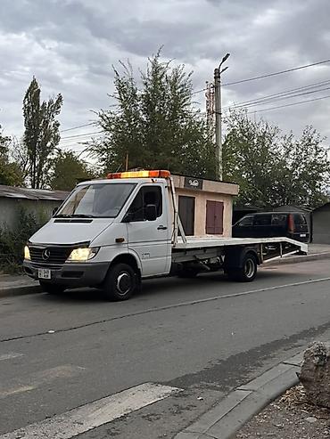 С лебедкой