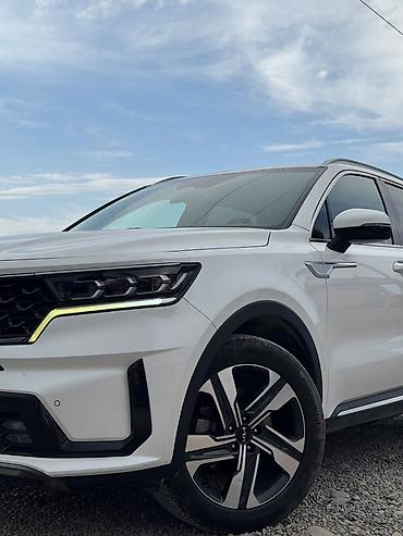 защита капота: Kia Sorento: 2022 г., 1.6 л, Автомат, Гибрид, Кроссовер — 4