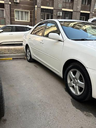 тойота камри 2005: Toyota Camry: 2005 г., 2.4 л, Автомат, Газ, Седан — 3